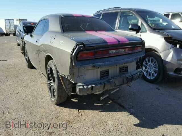 2010 DODGE CHALLENGER - VIN: 2B3CJ4DV9AH176809 - Photo 3