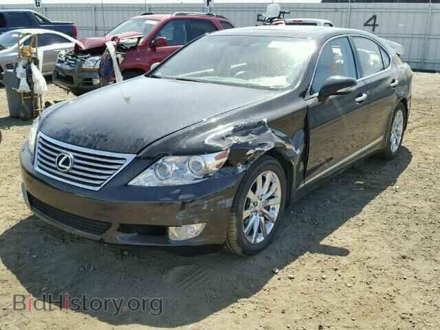 2011 LEXUS LS460 - VIN: JTHBL5EF2B5105556 - Фото 2
