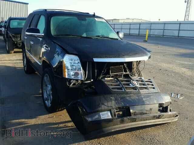 Фотография 1GYS4CEF2BR391642 - CADILLAC ESCALADE 2011