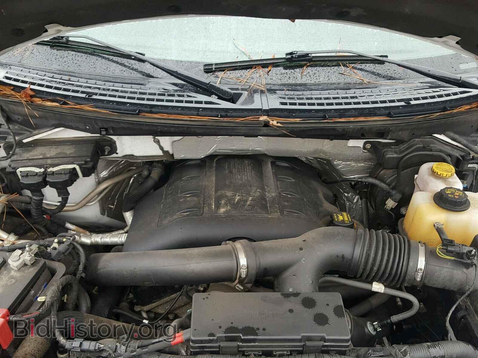 2013 FORD F150 - VIN: 1FTFW1ET5DFE04691 - Фото 7