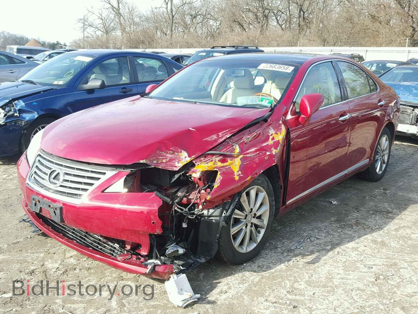 2010 LEXUS ES350 - VIN: JTHBK1EG5A2363977 - Фото 2