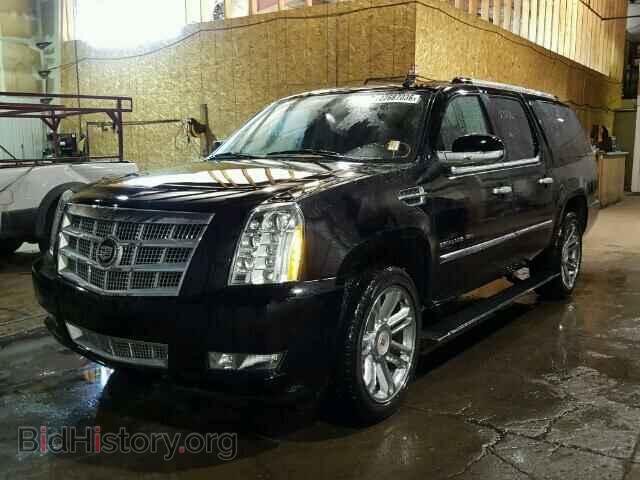 2011 CADILLAC ESCALADE - VIN: 1GYS3KEF4BR333576 - Фото 2