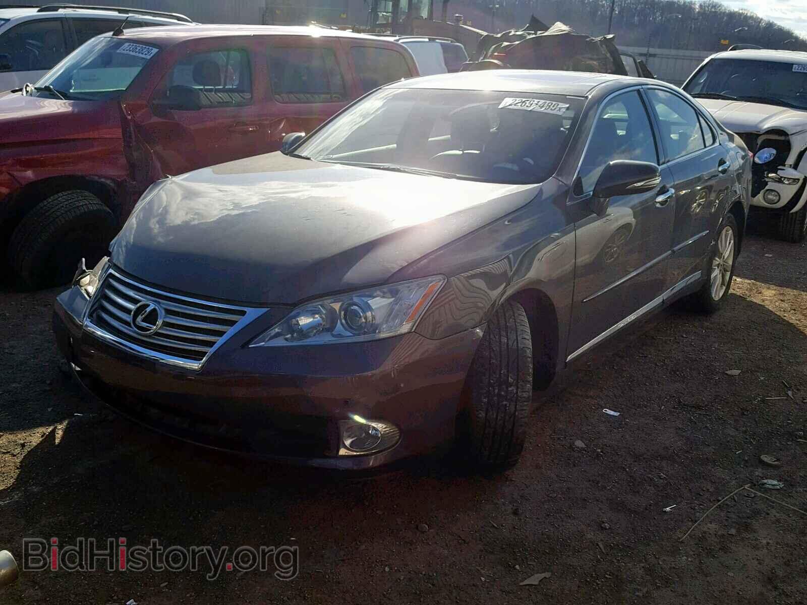 2011 LEXUS ES350 - VIN: JTHBK1EG4B2444292 - Фото 2