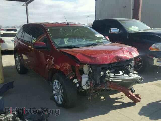 Фотография 2FMDK3JC8EBA10024 - FORD EDGE 2014