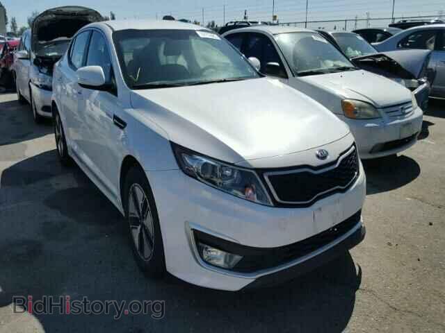 Фотография KNAGM4AD5D5052242 - KIA OPTIMA 2013