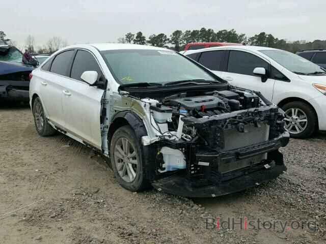 Photo 5NPE24AFXGH398244 - HYUNDAI SONATA 2016