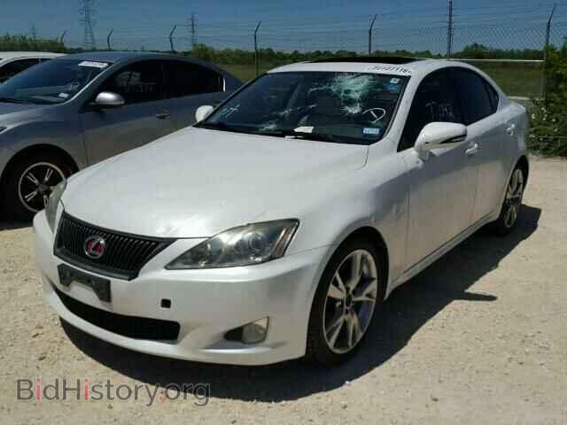 2010 LEXUS IS250 - VIN: JTHBF5C27A5124836 - Фото 2