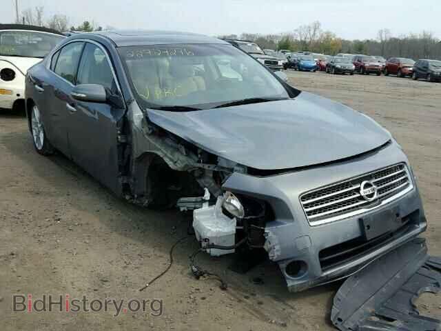 Фотография 1N4AA5AP8AC807544 - NISSAN MAXIMA 2010