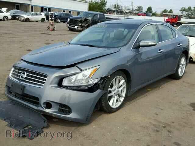 2010 NISSAN MAXIMA - VIN: 1N4AA5AP8AC807544 - Фото 2