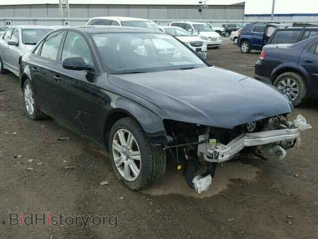 Фотография WAUBFAFL8AN034140 - AUDI A4 2010