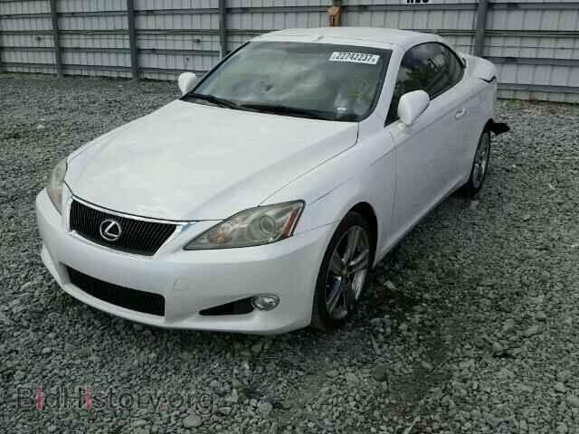 2010 LEXUS IS250 - VIN: JTHFF2C27A2503868 - Фото 2