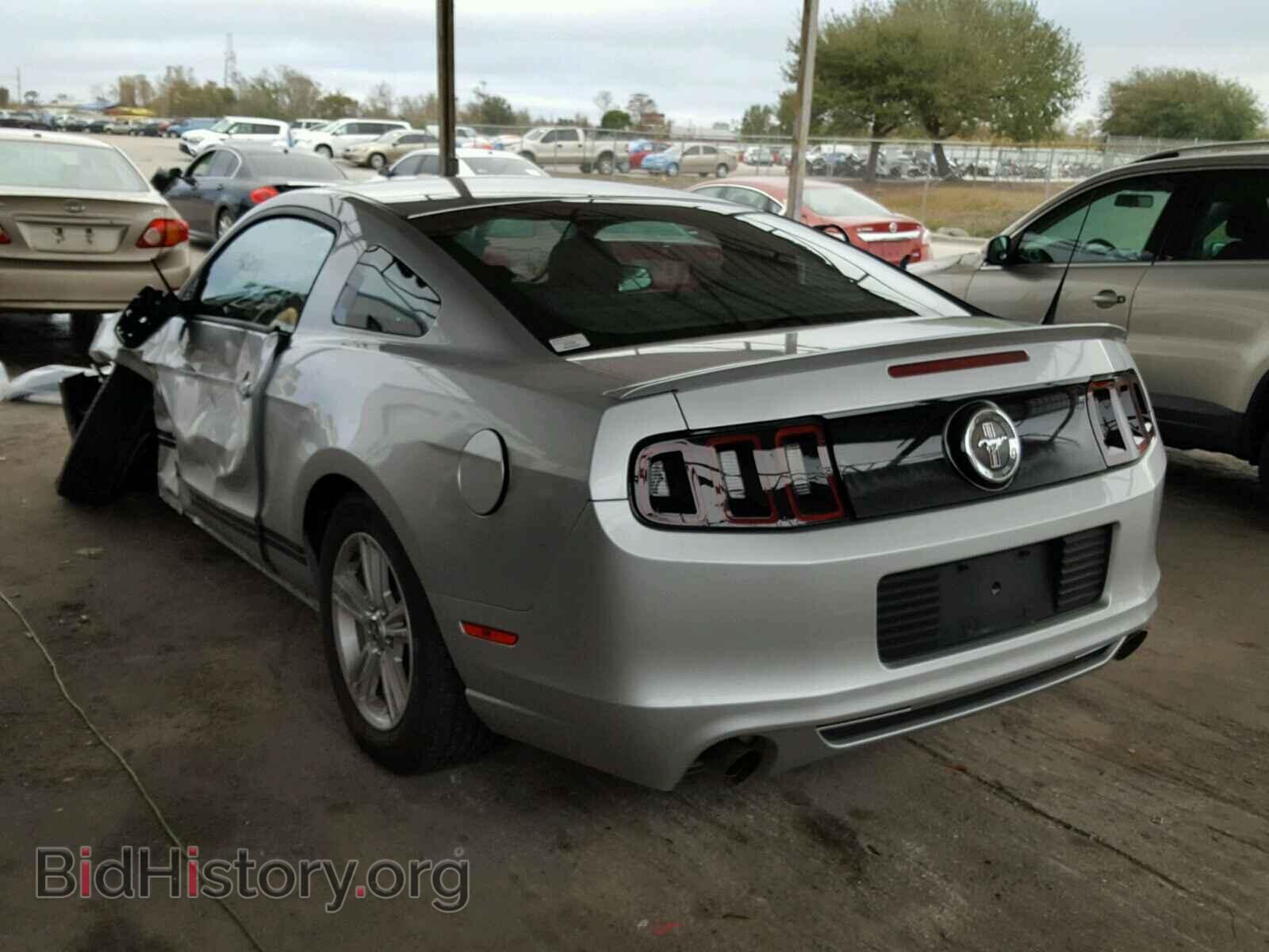 2014 FORD MUSTANG - VIN: 1ZVBP8AM4E5290626 - Фото 3