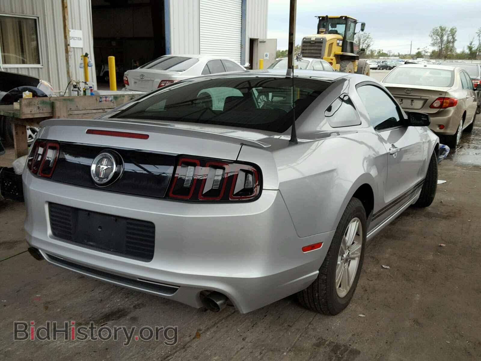 2014 FORD MUSTANG - VIN: 1ZVBP8AM4E5290626 - Фото 4
