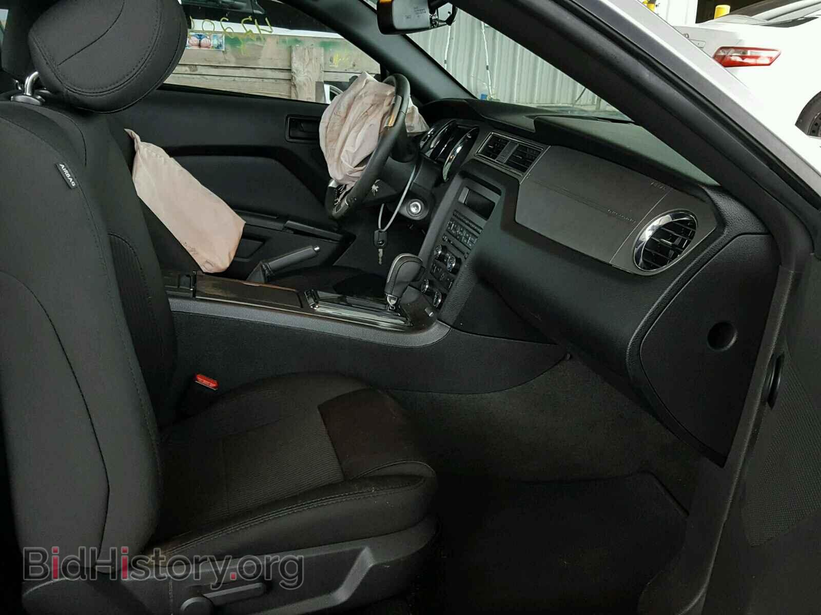 2014 FORD MUSTANG - VIN: 1ZVBP8AM4E5290626 - Фото 5