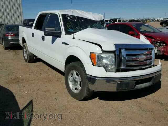 Фотография 1FTPW12VX9FA44710 - FORD F150 2009