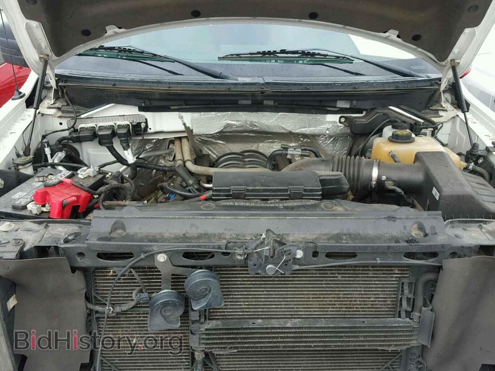 2012 FORD F150 - VIN: 1FTFX1EF8CFD07071 - Фото 7
