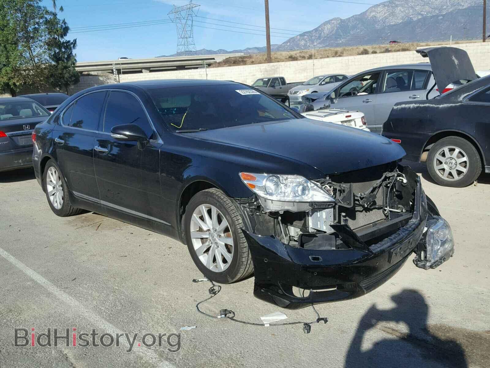 Фотография JTHBL5EF1A5096041 - LEXUS LS460 2010