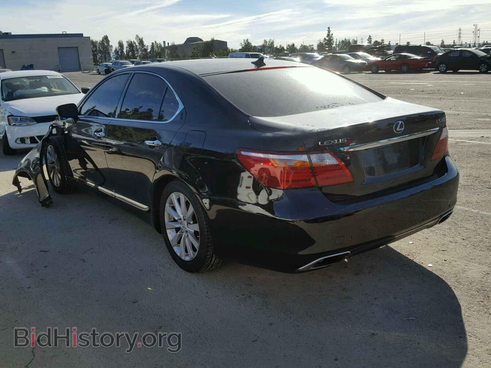 2010 LEXUS LS460 - VIN: JTHBL5EF1A5096041 - Фото 3