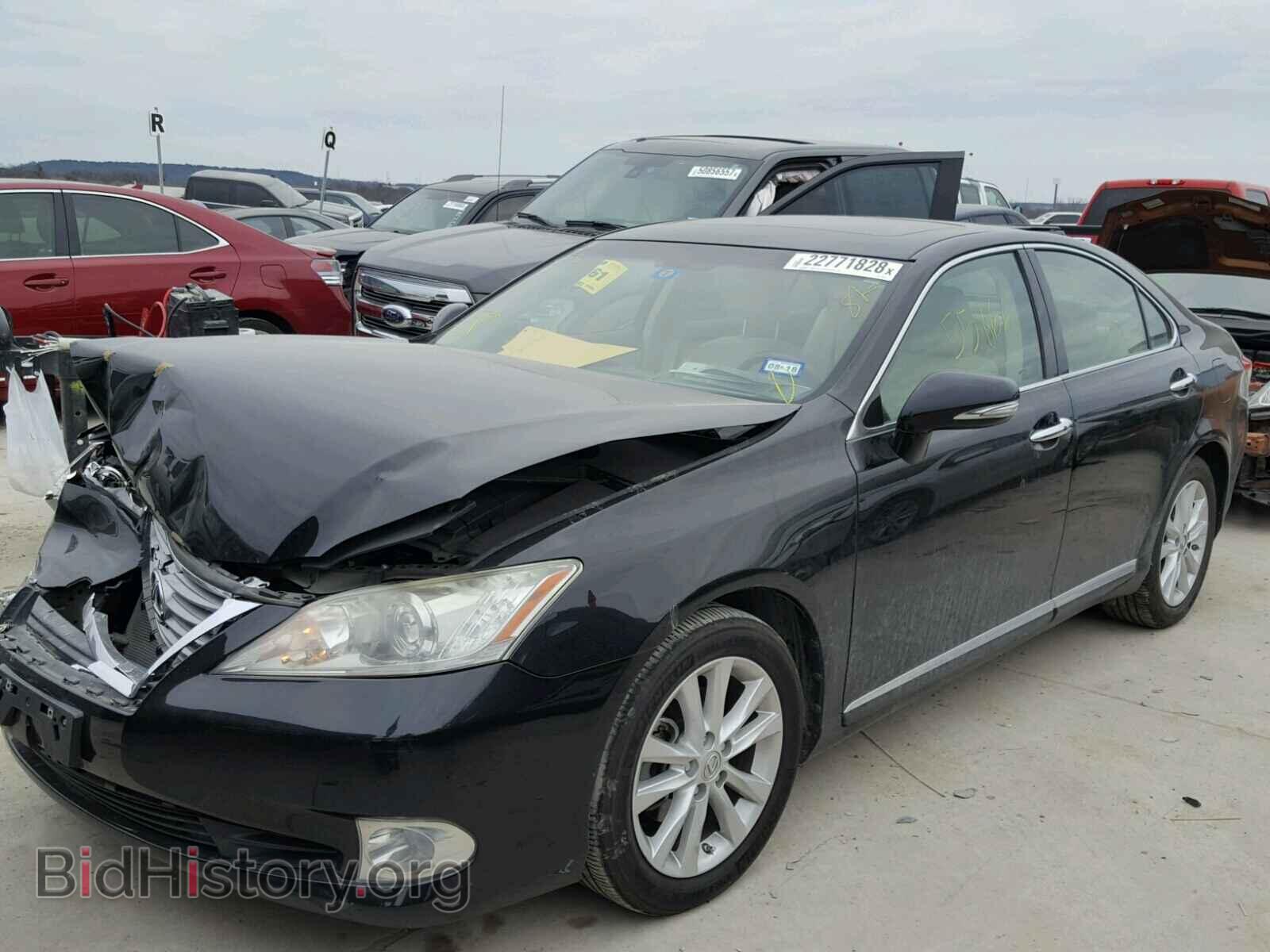 2010 LEXUS ES350 - VIN: JTHBK1EG0A2400448 - Фото 2