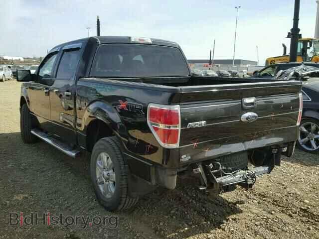 2013 FORD F150 - VIN: 1FTFW1ET7DKD75363 - Фото 3