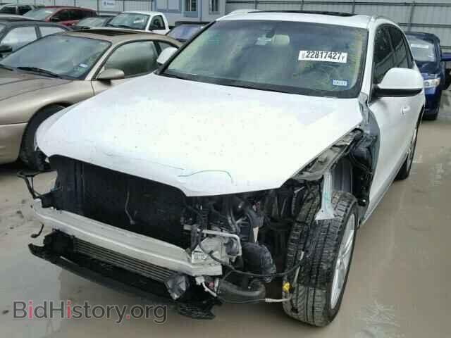 2013 AUDI Q5 - VIN: WA1LFAFP5DA049372 - Фото 2