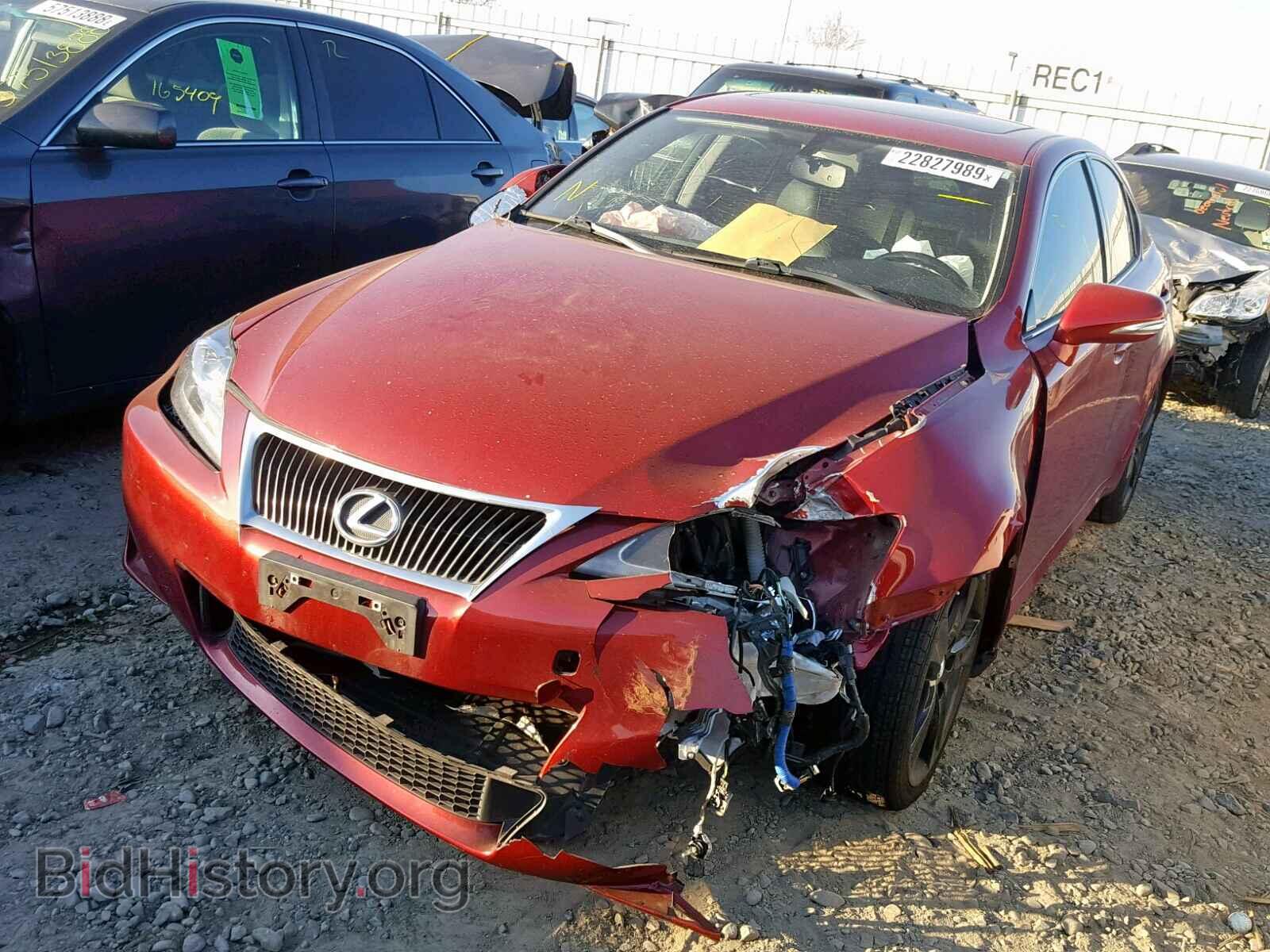 2011 LEXUS IS 250 - VIN: JTHBF5C23B5146754 - Фото 2
