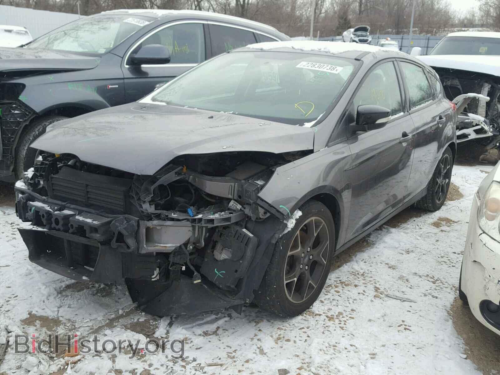 2013 FORD FOCUS - VIN: 1FADP3K24DL123632 - Фото 2