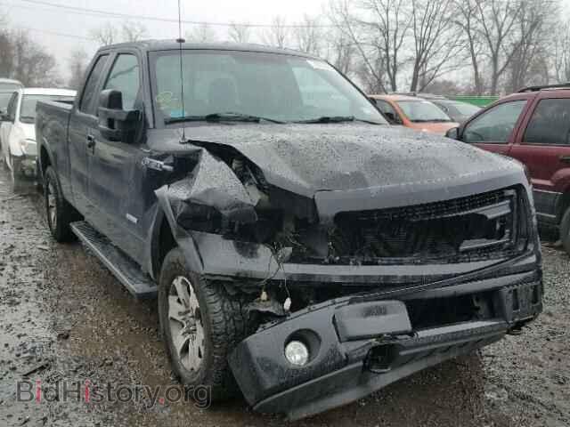 Photo 1FTFX1ET5DFA55268 - FORD F150 2013