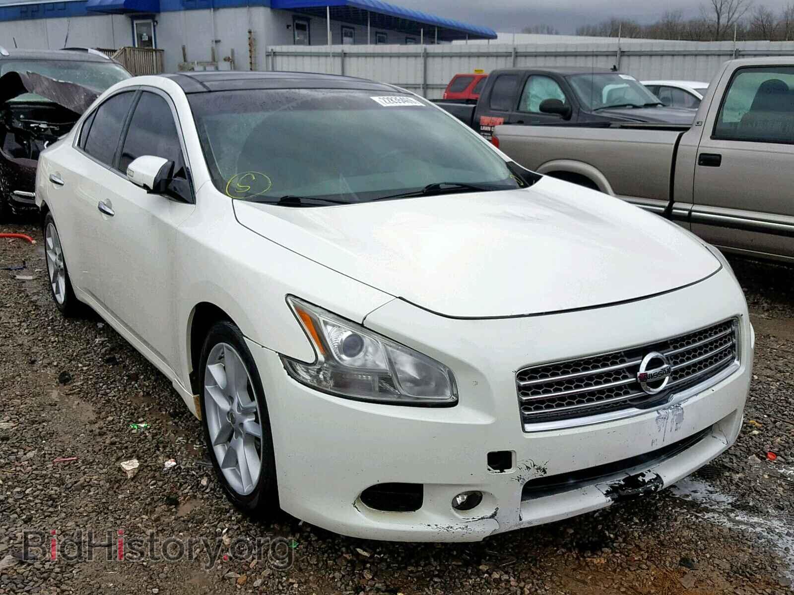 Photo 1N4AA5AP5AC843305 - NISSAN MAXIMA S 2010
