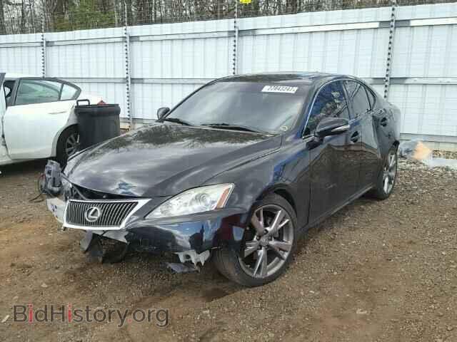 2010 LEXUS IS250 - VIN: JTHBF5C2XA5123955 - Фото 2