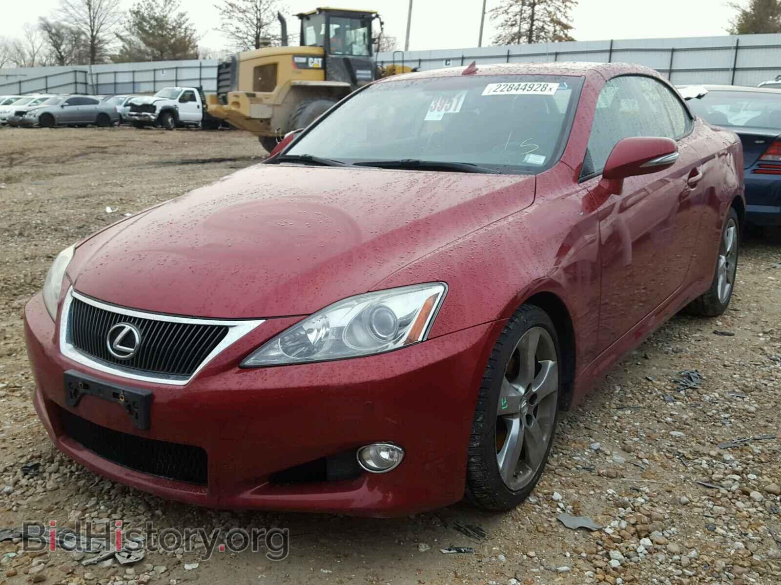 2010 LEXUS IS250 - VIN: JTHFF2C24A2511877 - Фото 2