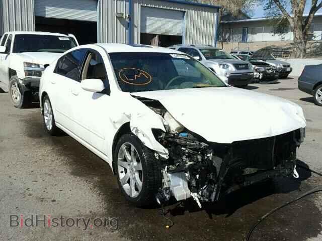 Photo 1N4BA41E08C813541 - NISSAN MAXIMA 2008