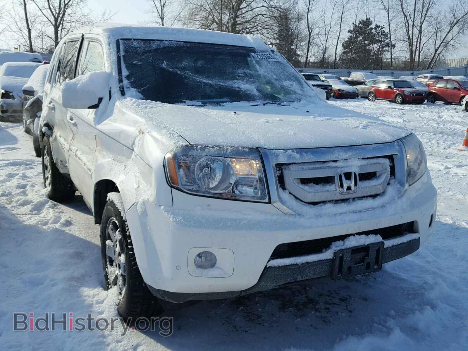 Фотография 5FNYF4H99AB004806 - HONDA PILOT 2010