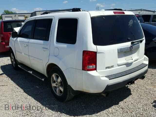 2009 HONDA PILOT - VIN: 5FNYF38579B014558 - Фото 3