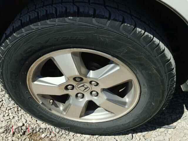 2009 HONDA PILOT - VIN: 5FNYF38579B014558 - Фото 9