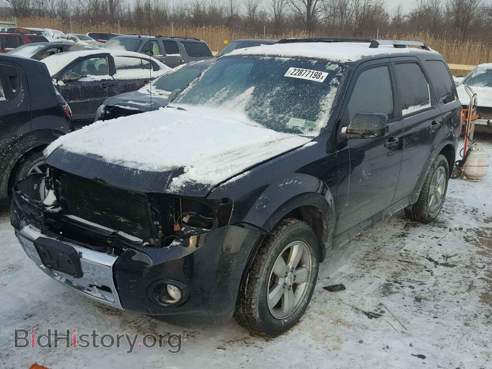 2011 FORD ESCAPE - VIN: 1FMCU9EG2BKC09559 - Photo 2