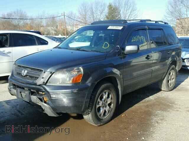 2005 HONDA PILOT - VIN: 5FNYF18655B059408 - Фото 2