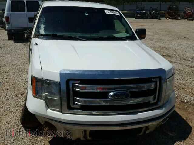 2013 FORD F150 - VIN: 1FTFX1EF3DFC00141 - Фото 10