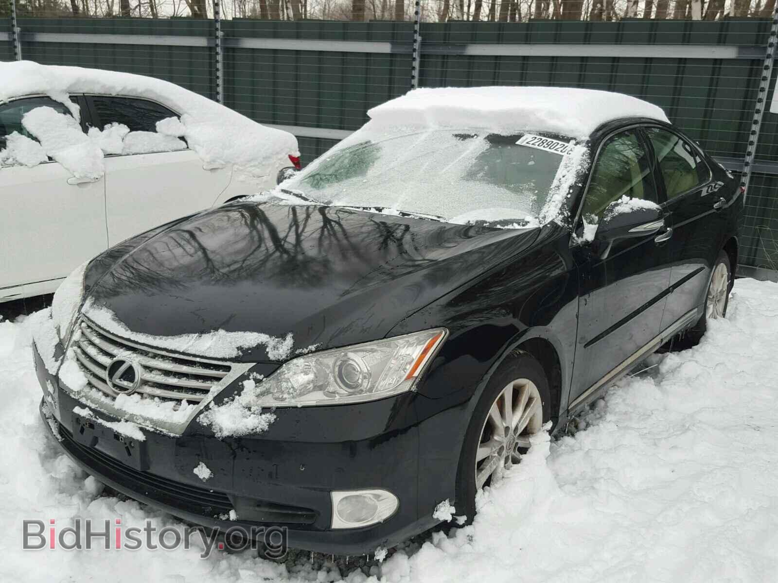 2011 LEXUS ES350 - VIN: JTHBK1EG6B2419166 - Фото 2