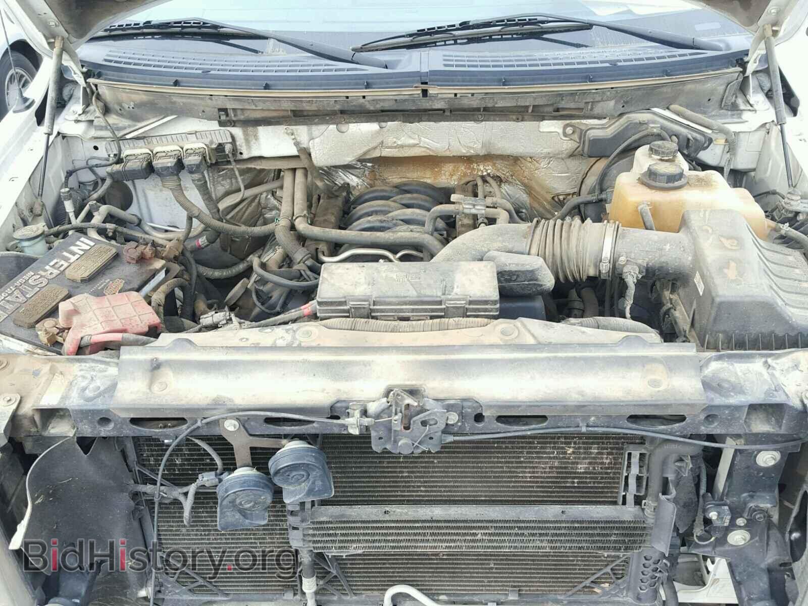 2013 FORD F150 - VIN: 1FTFX1EF5DKF05695 - Фото 7