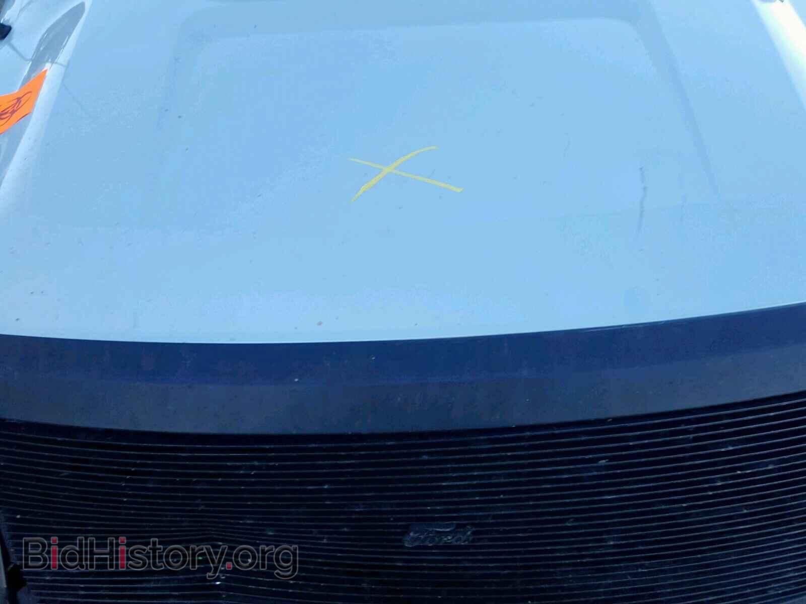 2013 FORD F150 - VIN: 1FTMF1CM4DFD18291 - Фото 7