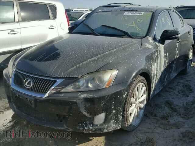 2010 LEXUS IS250 - VIN: JTHBF5C26A2094441 - Фото 2