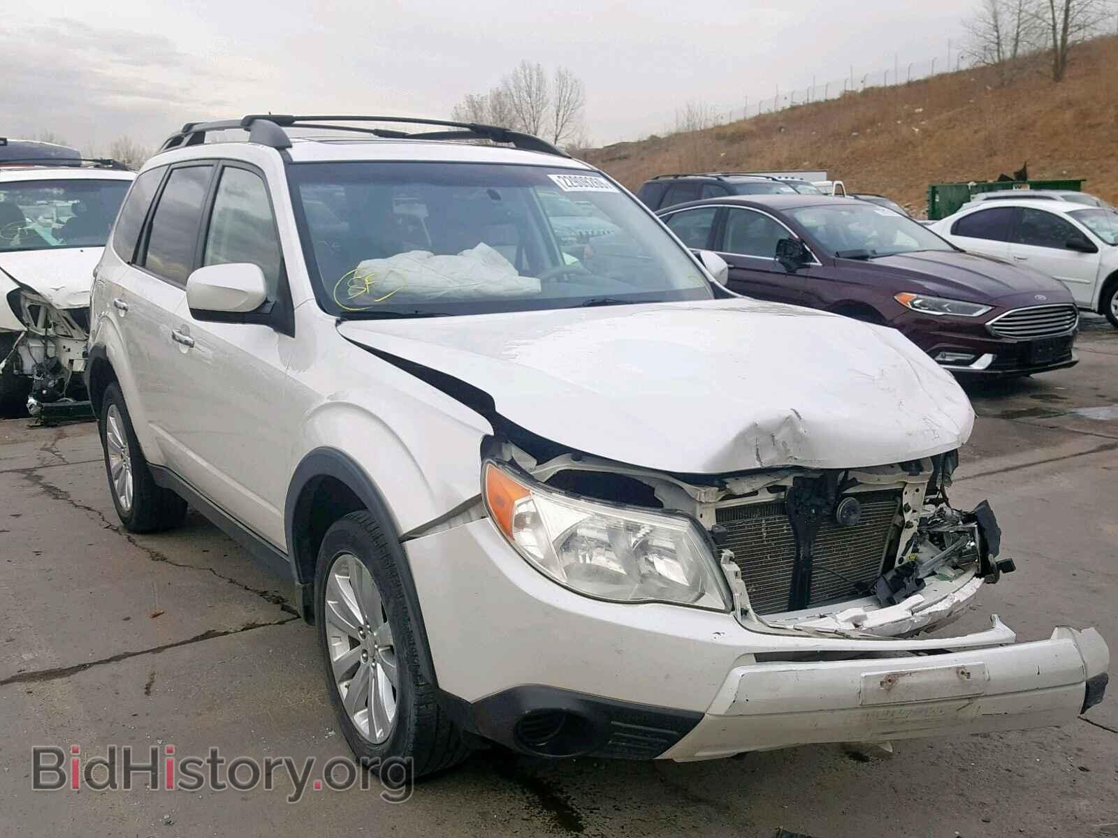 Фотография JF2SHADC1BH708792 - SUBARU FORESTER 2011