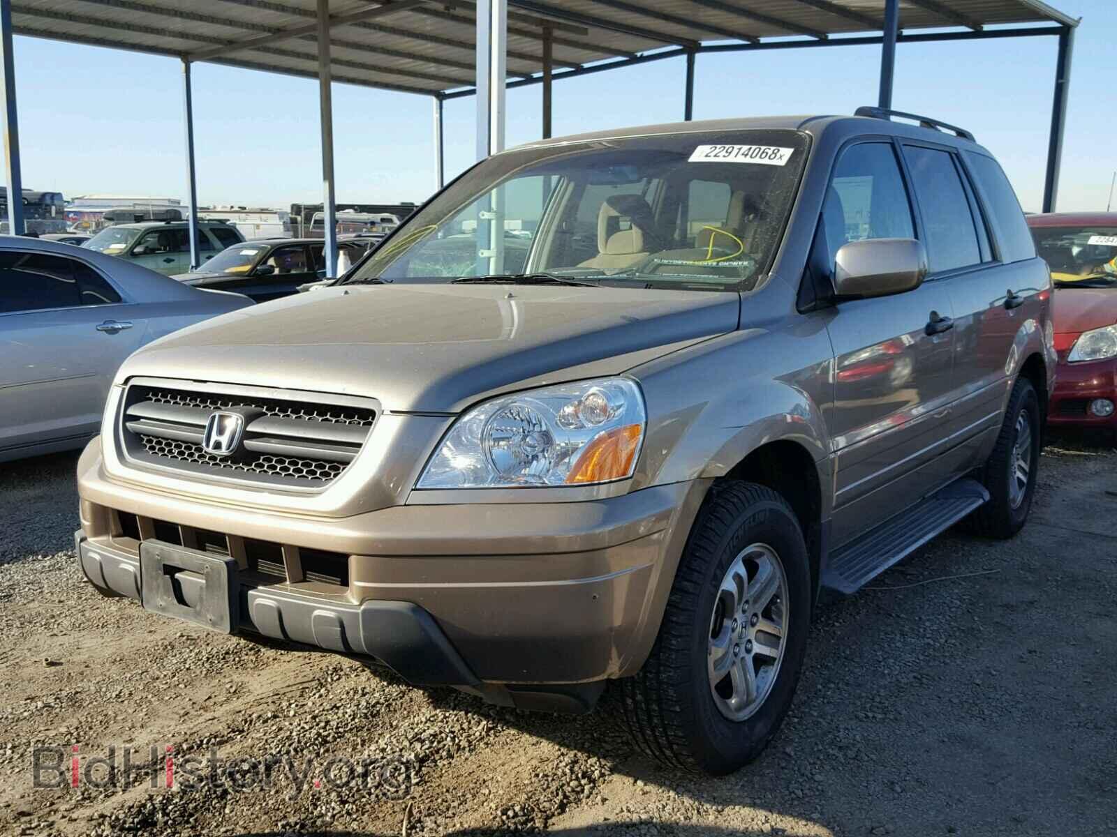 2005 HONDA PILOT - VIN: 2HKYF18415H516893 - Фото 2