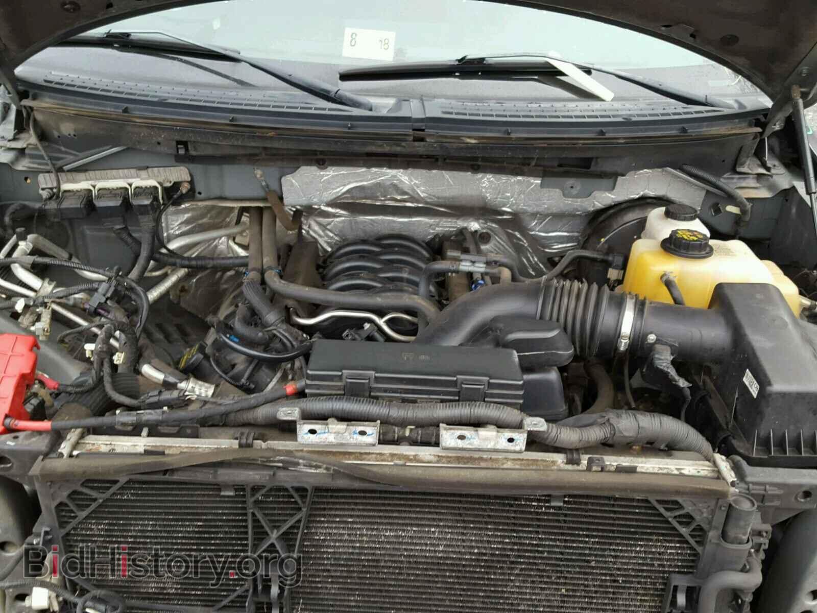 2013 FORD F150 - VIN: 1FTFX1CF3DFD15938 - Фото 7