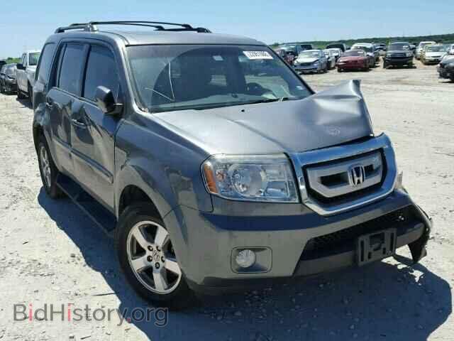 Фотография 5FNYF3H59BB008024 - HONDA PILOT 2011