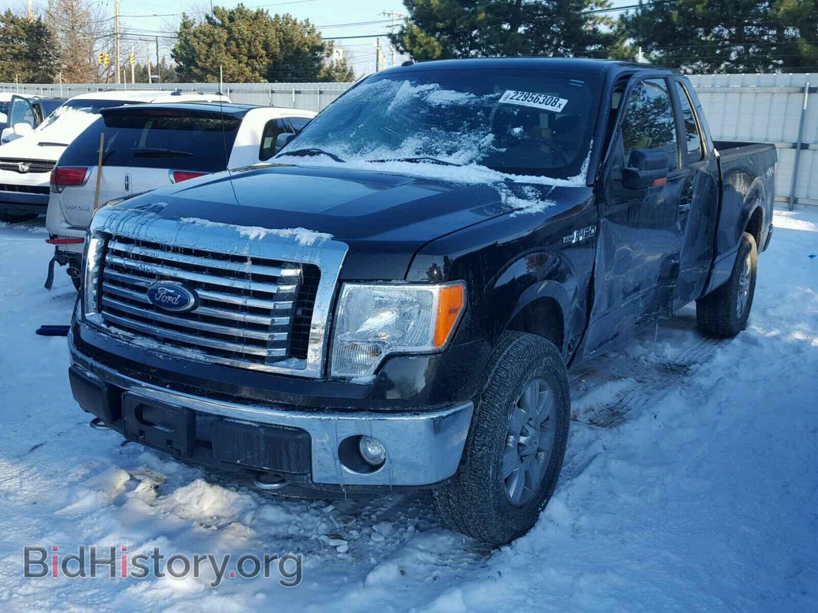 2011 FORD F150 - VIN: 1FTFX1EF0BFA38062 - Фото 2