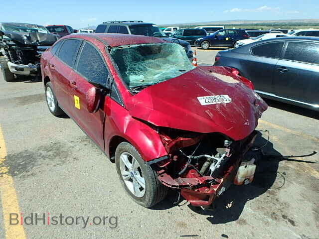 Photo 1FADP3F25DL199905 - FORD FOCUS 2013