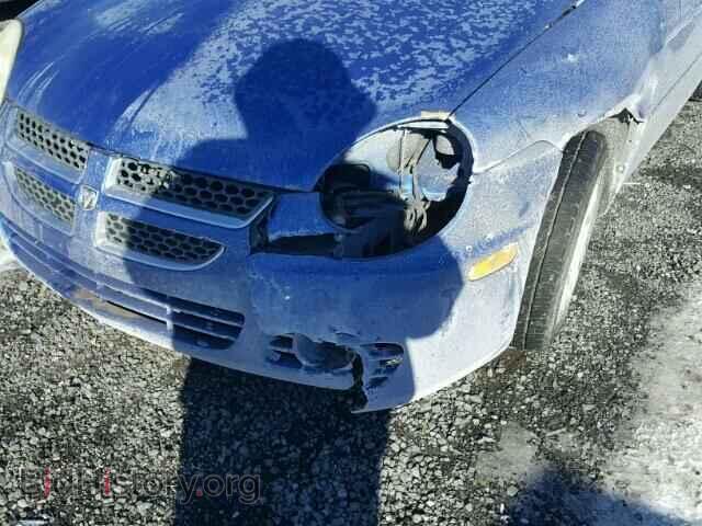 2004 DODGE NEON - VIN: 1B3ES56C14D534798 - Фото 9
