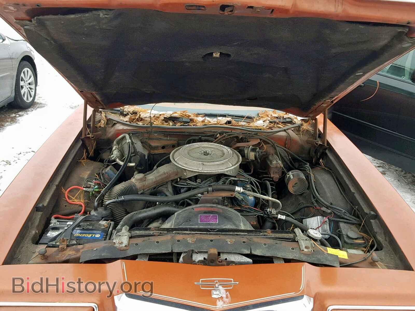 1978 FORD TBIRD - VIN: 8G87H331464 - Фото 7